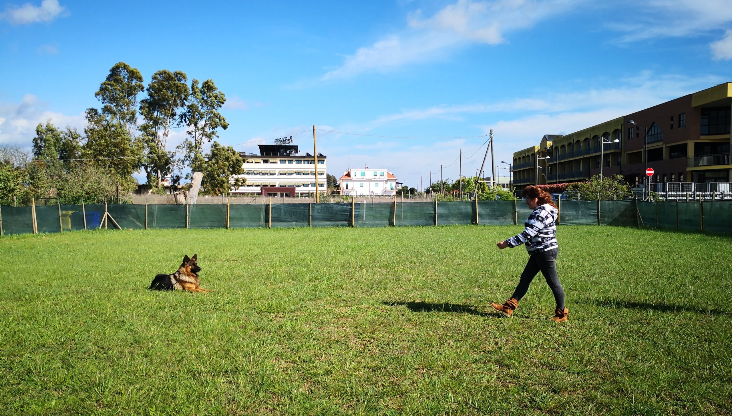 educazione/obedience